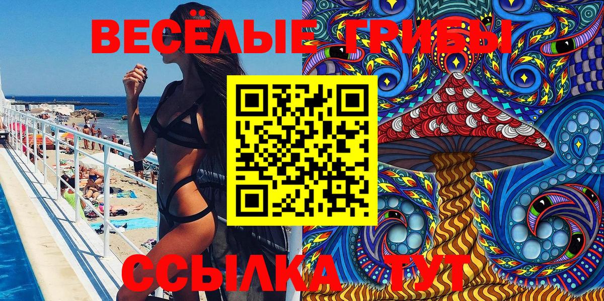 Псилоцибиновые грибы Cubensis  Галлюциногенные грибы GOLDEN TEACHER  Вход с VPN  Ростов Великий 